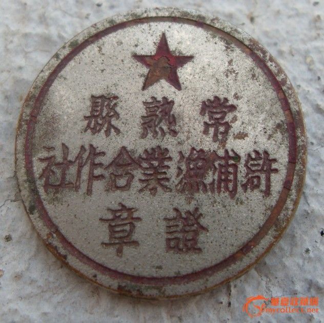 解放初*常熟县浒浦鱼业合作社中学*一枚_v中学是铁的好高中三哪个证章图片