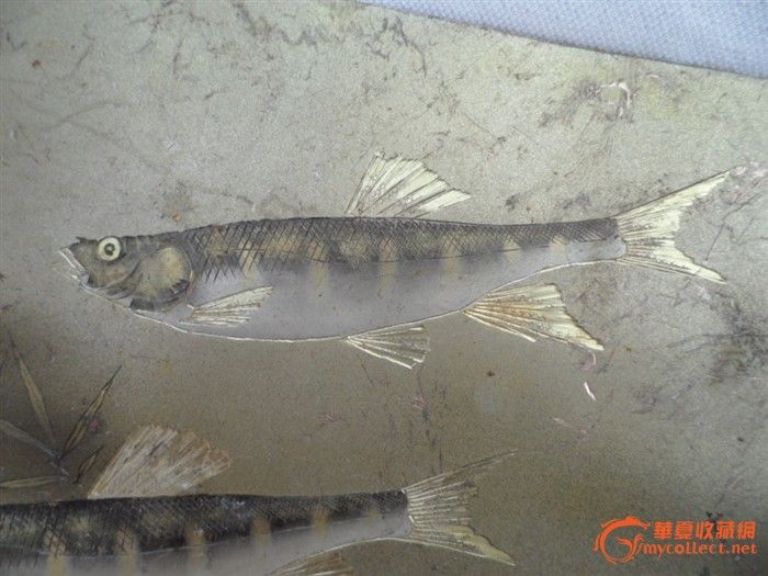 精美紫铜壁画两条马口鱼_精美紫铜壁画两条马