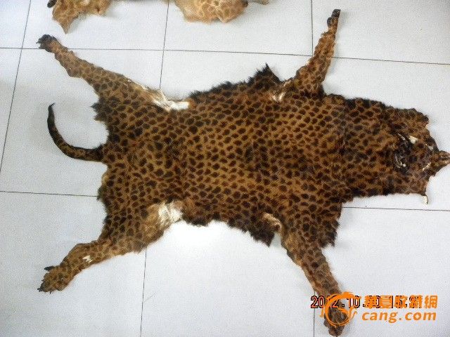 皮货市场朋友转行,替他转让部分兽皮4_皮货市