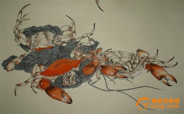 ... 走路样子_、螃蟹为什么是横着走路的? - 适新素材网