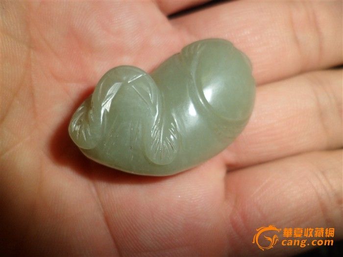 玉猫还是獾-玉猫还是獾价格-玉猫还是獾图片,来