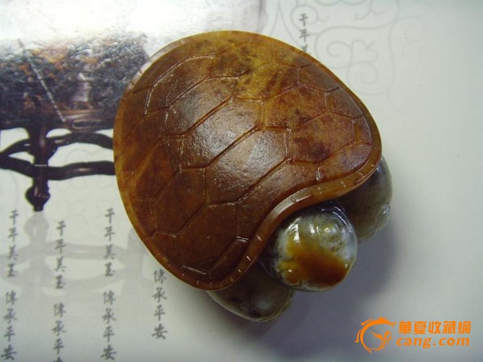 乌龟-乌龟价格-乌龟图片,来自藏友精玉门-玉器