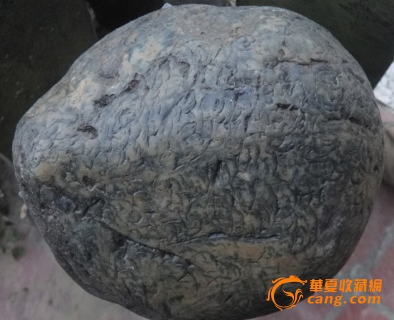 鱼鳞石奇石(似鲤鱼的鱼纹)