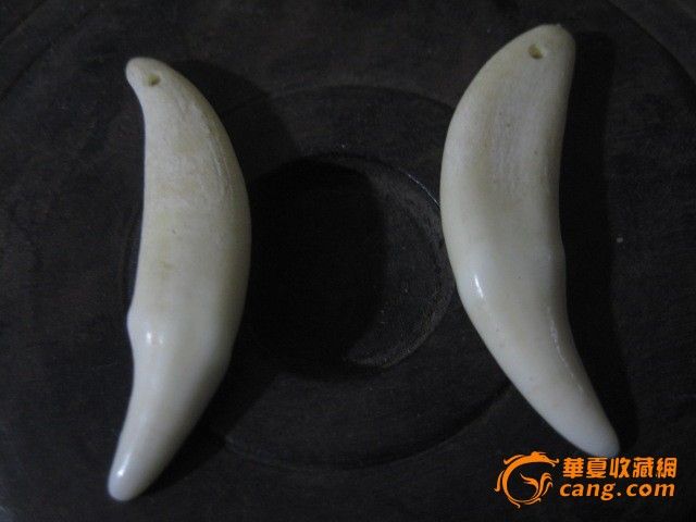 一对犬牙_一对犬牙价格_一对犬牙图片_来自藏友暗香残留_工艺品_地摊交易_华夏收藏网 cang.com