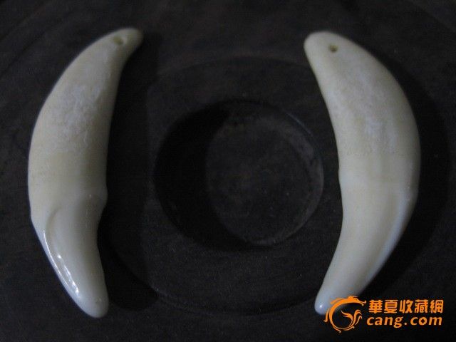 一对犬牙_一对犬牙价格_一对犬牙图片_来自藏友暗香残留_工艺品_地摊交易_华夏收藏网 cang.com