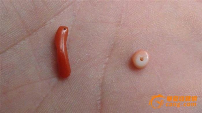 红珊瑚学习鉴别标本_红珊瑚学习鉴别标本价格_红珊瑚学习鉴别标本图片_来自藏友luiqungg_珠宝_地摊交易_华夏收藏网 cang.com