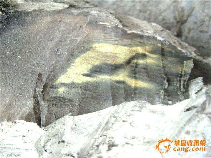 一根金丝楠乌木标本E-一根金丝楠乌木标本E价格-一根金丝楠乌木标本E图片，来自藏友自已的-木器-地摊交易-华夏收藏网