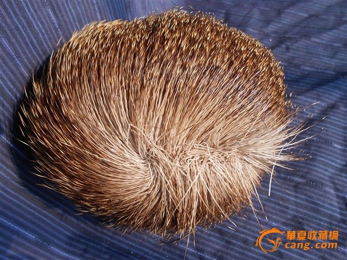 麝香_麝香价格_麝香图片_来自藏友如意精玩阁