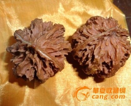 文玩核桃把玩核桃野生密纹多刺灯笼【保真假一
