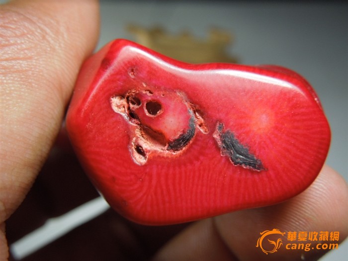 ɺѼ