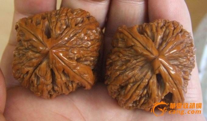 南疆石狮子头核桃图片介绍展示_康之园