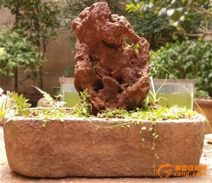 老!庭院假山盆景_老!庭院假山盆景价格_老!庭