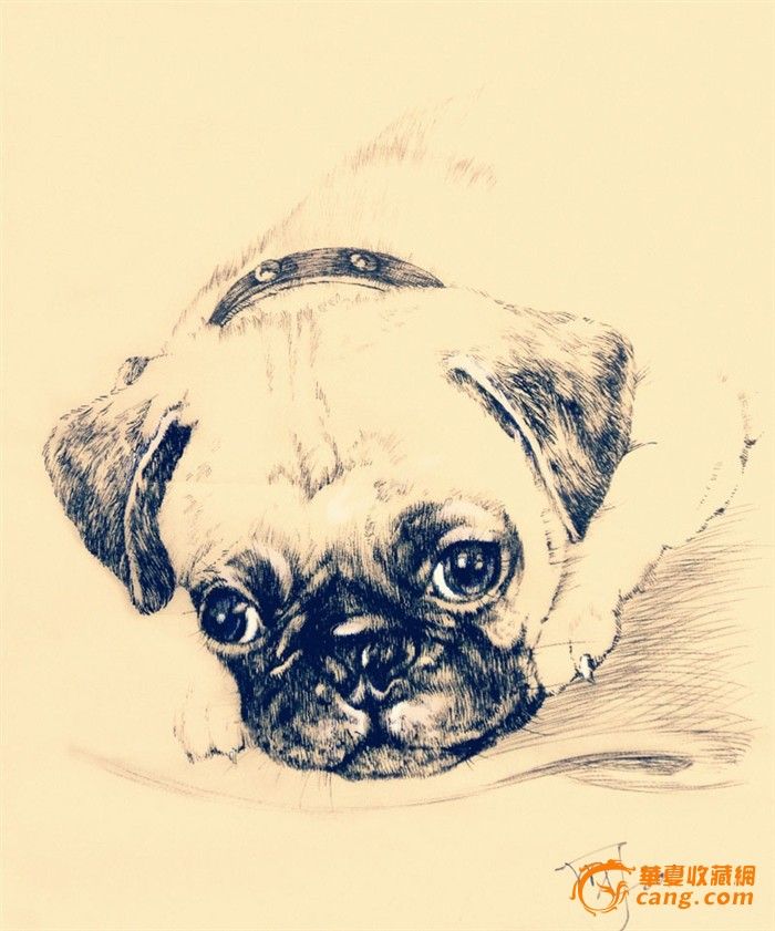 动物精细钢笔画_动物精细钢笔画价格_动物精