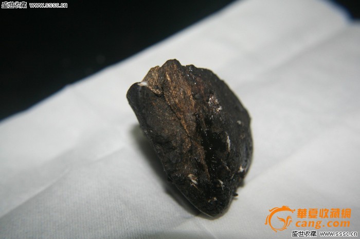 极品天然龙涎香