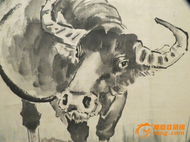悲鸿 水牛 画
