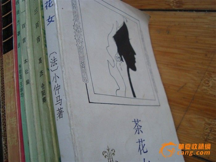 <em>茶花女 小仲马</em> 256页_<em>茶花女 小仲马</em> 256页价格