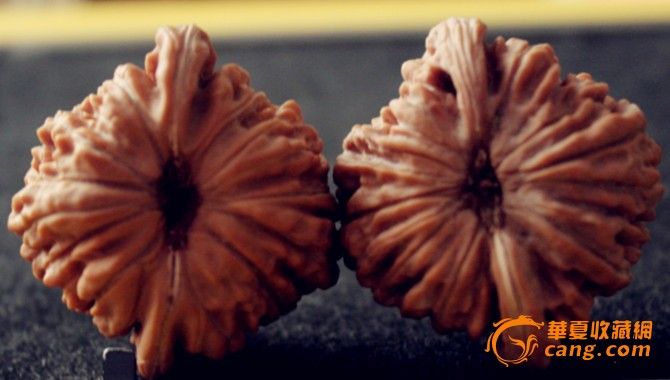 极品四座楼狮子头_极品四座楼狮子头价格