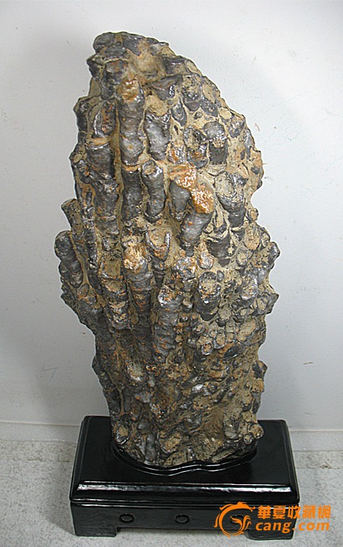珊瑚化石精品摆件—243
