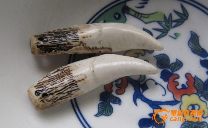 狗牙一对-狗牙一对价格-狗牙一对图片,来自藏友