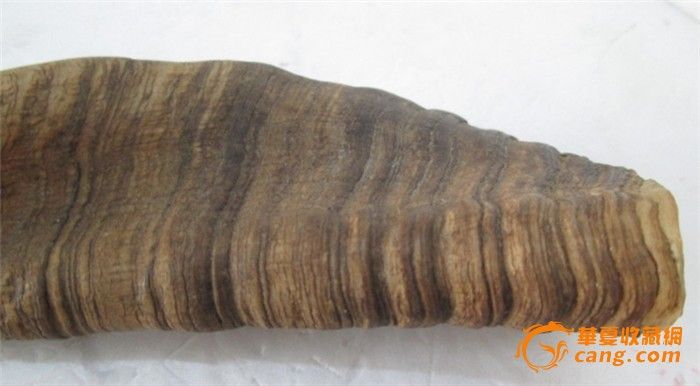 羊角制作刀把的方法图