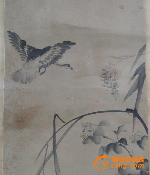 八大山人 大雁图图片