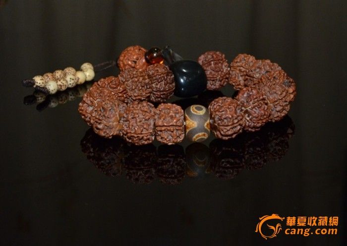 金刚菩提-金刚菩提价格-金刚菩提图片,来自藏友