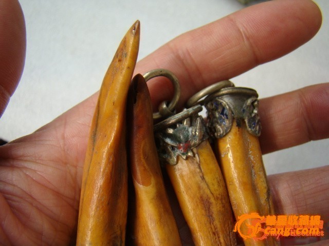 景泰蓝镶银老虎牙吊坠