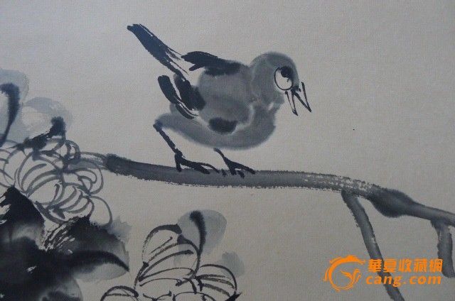 八大山人花鸟作品图片