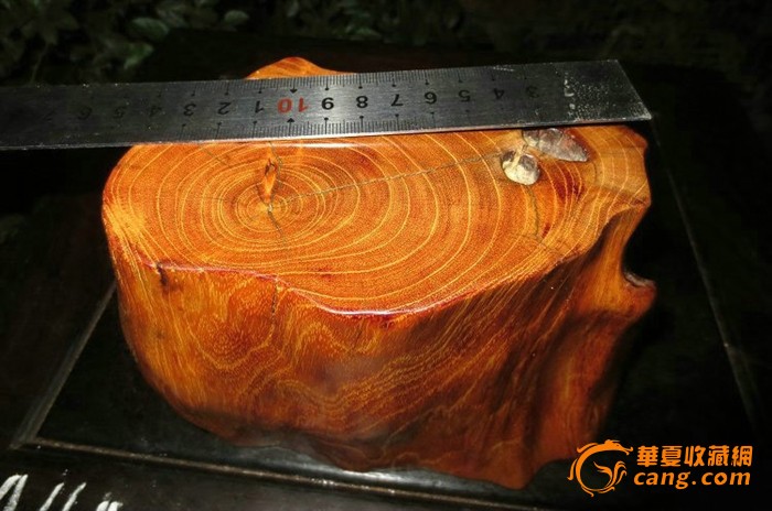 柘木阴沉木随型根料摆件1.7kg