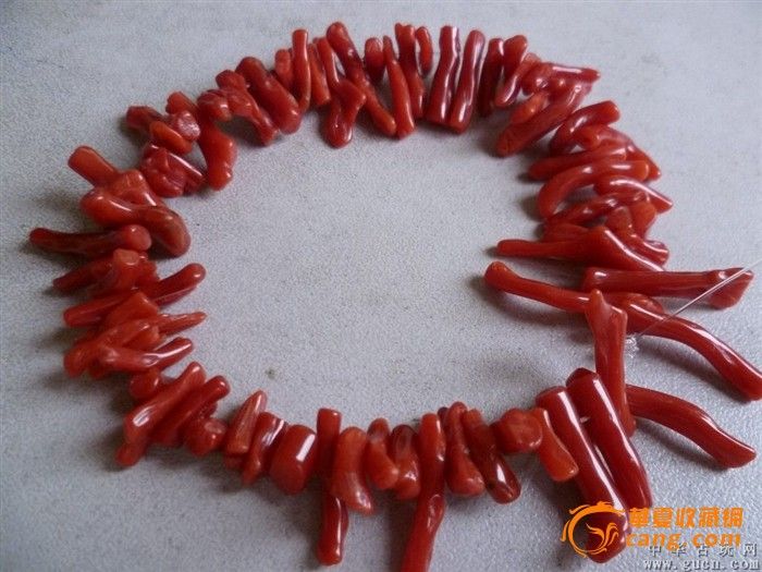 老珊瑚手链_老珊瑚手链价格_老珊瑚手链图片