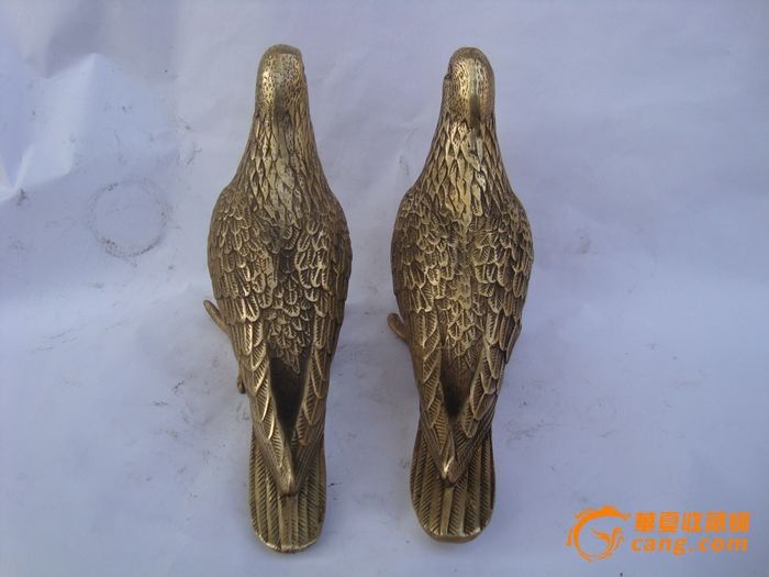 和平鸽_和平鸽价格_和平鸽图片_来自藏友翰墨