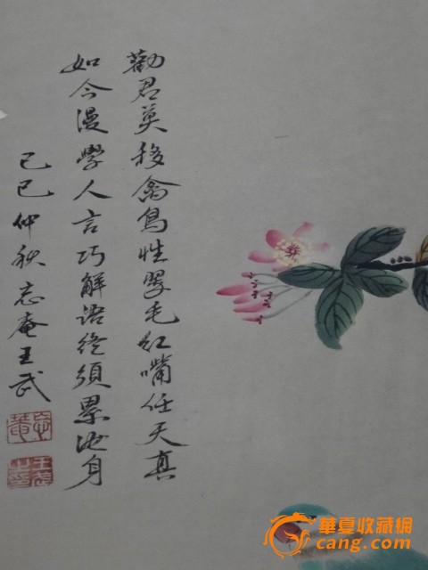 王武=花鸟四条_王武=花鸟四条价格_王武=花鸟四