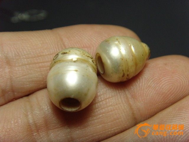 清代海珍珠_清代海珍珠价格_清代海珍珠图片