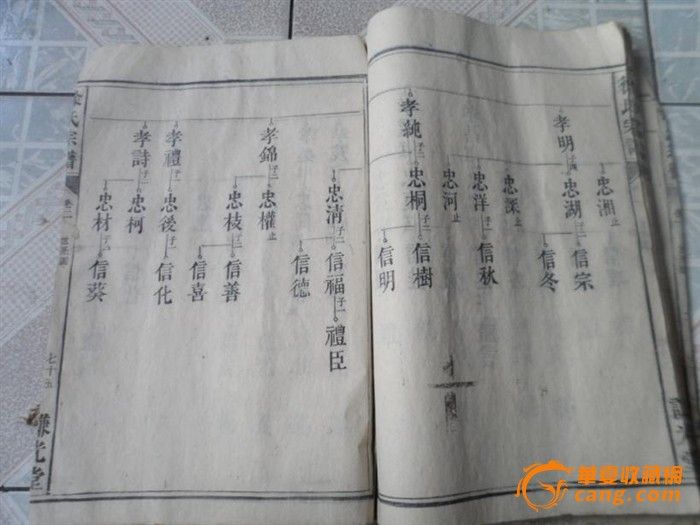 孤本、徐氏族谱、【活字版特大开本】一册、尺