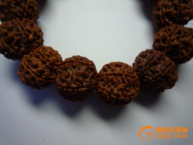 金刚菩提_金刚菩提价格_金刚菩提图片_来自藏