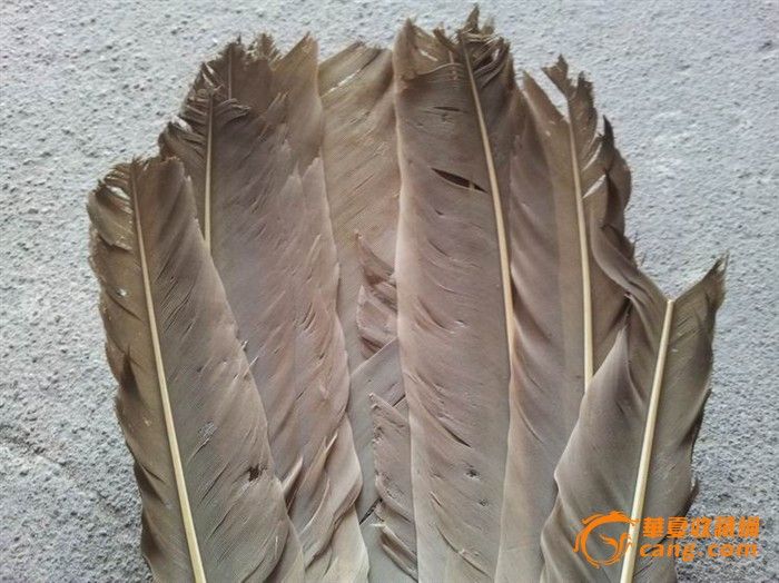 民国诸葛鹅毛扇_民国诸葛鹅毛扇价格_民国诸