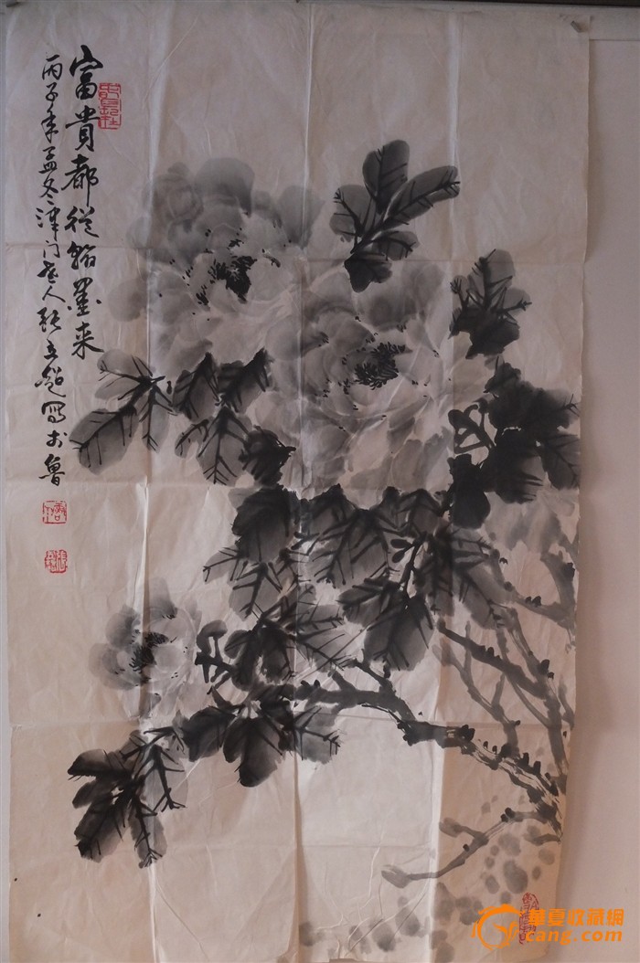 张立超 墨牡丹