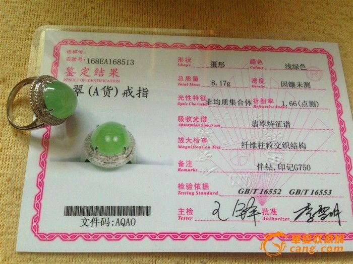 鸽子林晨阳曲谱
