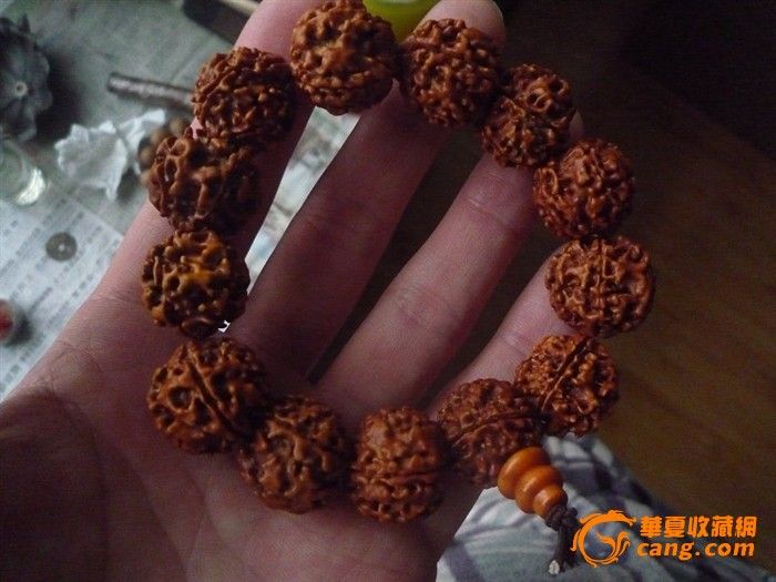子 金 线 菩提 子 金刚 菩提 子 图片 金刚 菩提 子 ...