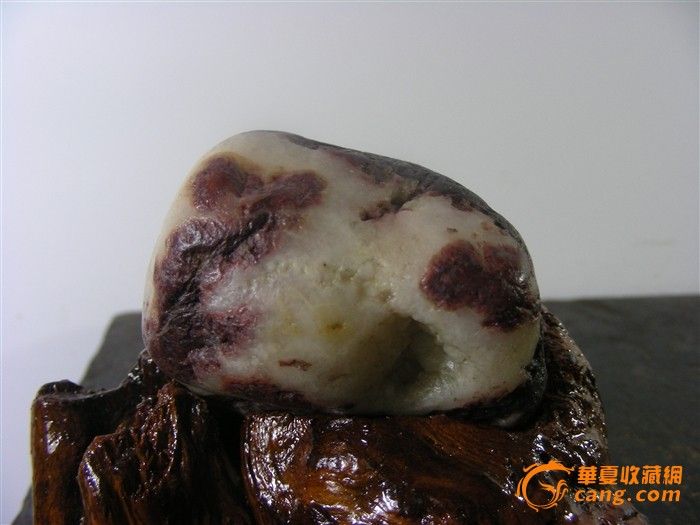 特价天然奇石-龟兔赛跑_特价天然奇石-龟兔赛