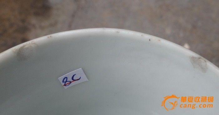 画片精美.美女大杯