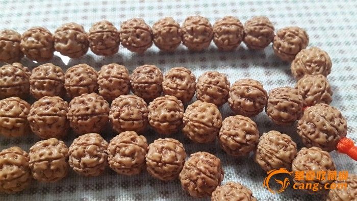 11mm五瓣小金刚菩提子_11mm五瓣小金刚菩提子价格_11mm五瓣小金刚菩提子图片_来自藏友比邻文玩_杂项_地摊交易_华夏收藏网 cang.com