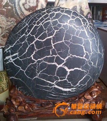 宁夏中卫黄河奇石龟背石1_宁夏中卫黄河奇石