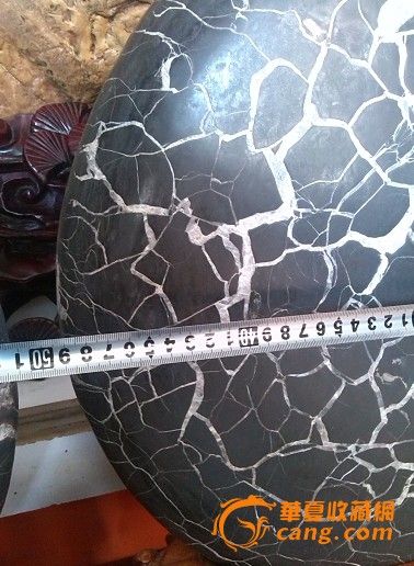 宁夏中卫黄河奇石龟背石3_宁夏中卫黄河奇石