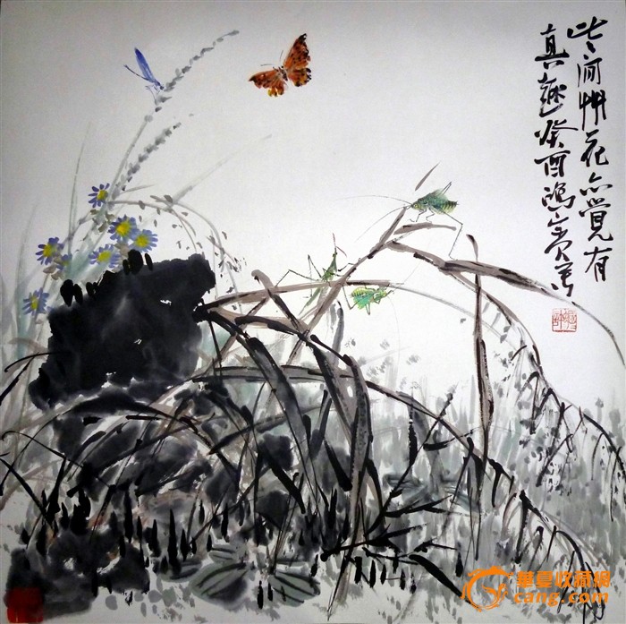 野草蝈蝈》,收购许鸿宾画,电话:15932607306_