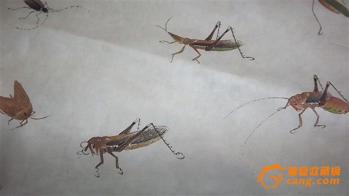 蚂蚱_蚂蚱价格_蚂蚱图片_来自藏友古董小晶_