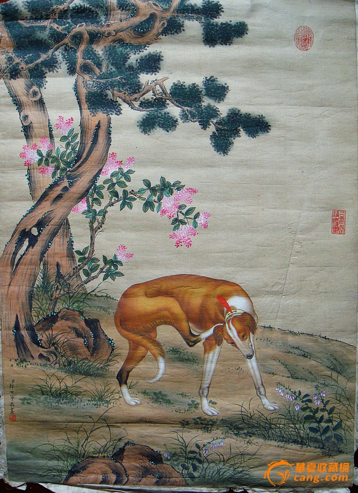 清代宫廷画家郎世宁作品犬