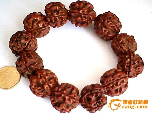 五瓣大金刚菩提子12颗手串_五瓣大金刚菩提子