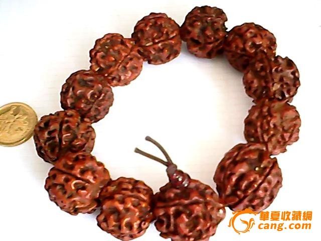 五瓣大金刚菩提子12颗手串_五瓣大金刚菩提子