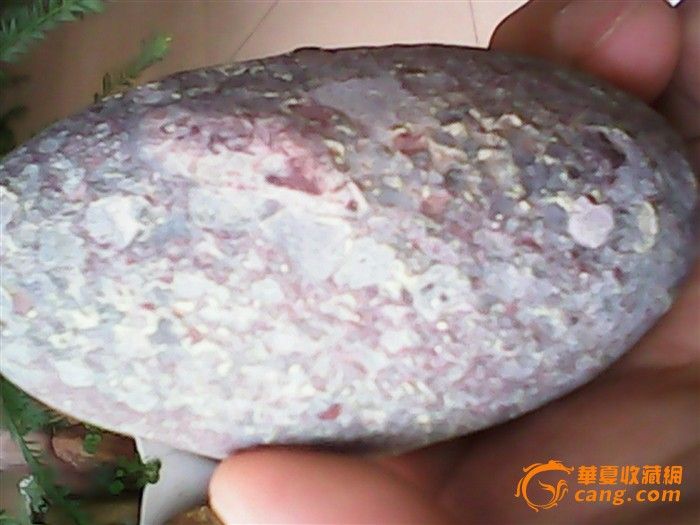 凝似恐龙蛋化石求鉴定可转手